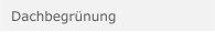 Dachbegrünung